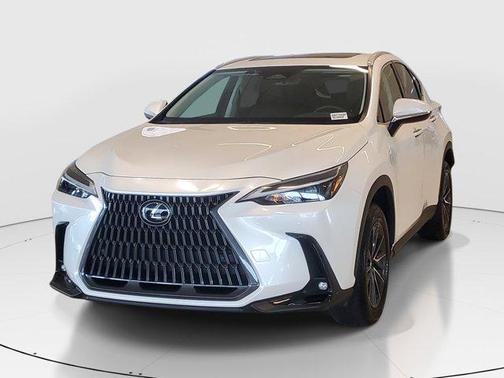 White Pearl 2025 Lexus NX 250 Premium