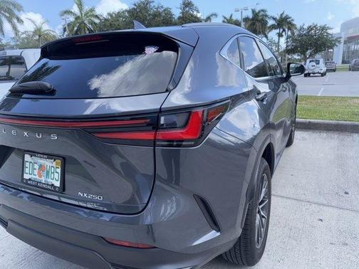 2023 Lexus NX 250 Base