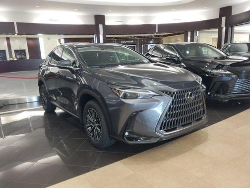 2025 Lexus NX 250 Premium