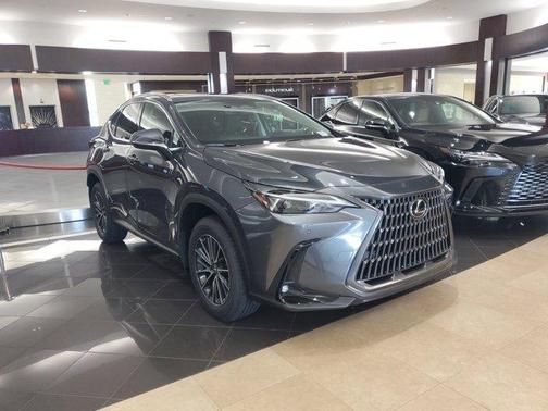 2025 Lexus NX 250 Premium