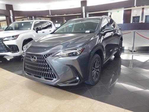 2025 Lexus NX 250 Premium