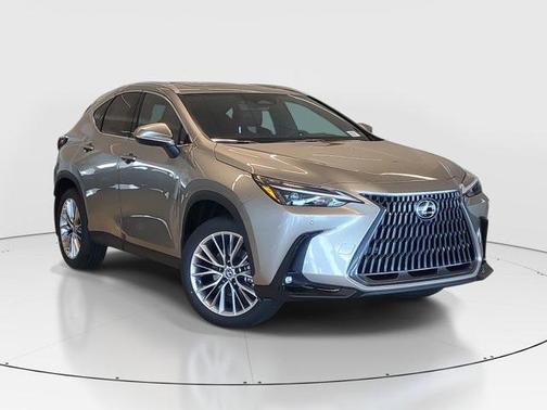 2025 Lexus NX 350 Premium