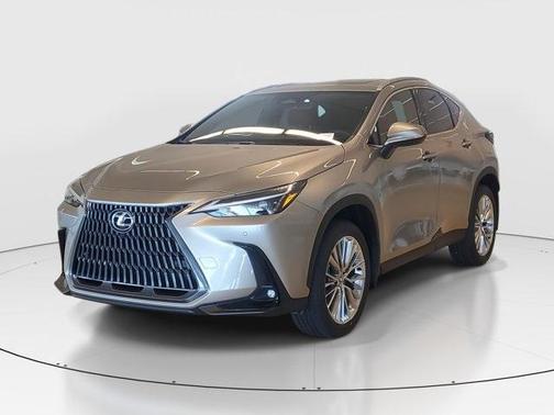 2025 Lexus NX 350 Premium