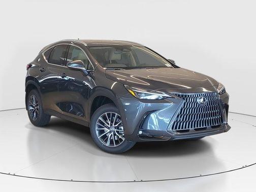 2025 Lexus NX 250 Base