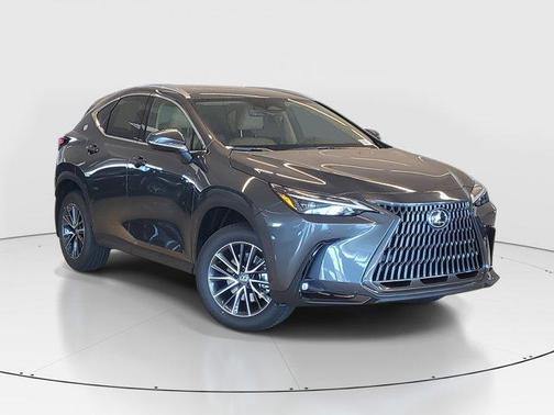 2025 Lexus NX 250 Base