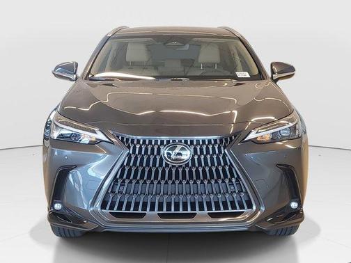 2025 Lexus NX 250 Base