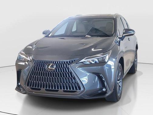 2024 Lexus NX 250 Premium