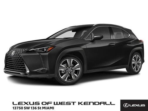 2025 Lexus UX 300h 