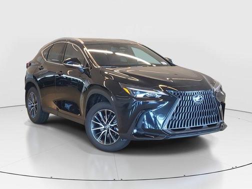 2025 Lexus NX 250 Premium