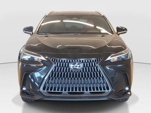 2025 Lexus NX 250 Premium