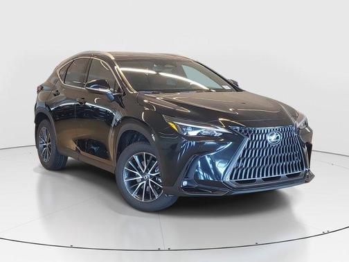 2025 Lexus NX 250 Premium