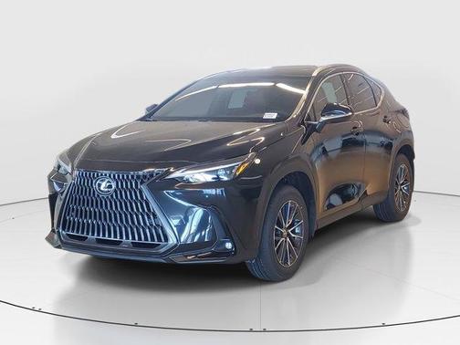 2025 Lexus NX 250 Premium