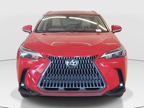 2025 Lexus NX 250 Premium