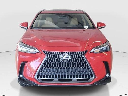 2025 Lexus NX 250 Premium