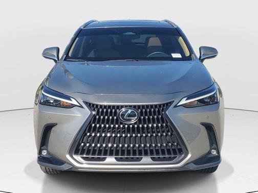 2022 Lexus NX 250 Premium