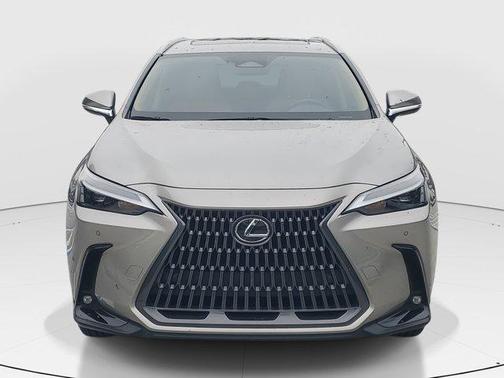 2024 Lexus NX 250 Premium