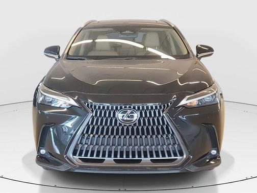 2023 Lexus NX 250 Premium