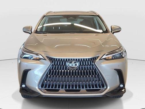 2025 Lexus NX 350h Premium