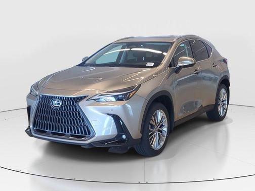 2025 Lexus NX 350h Premium