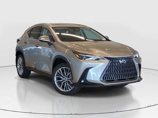 2025 Lexus NX 350h Premium