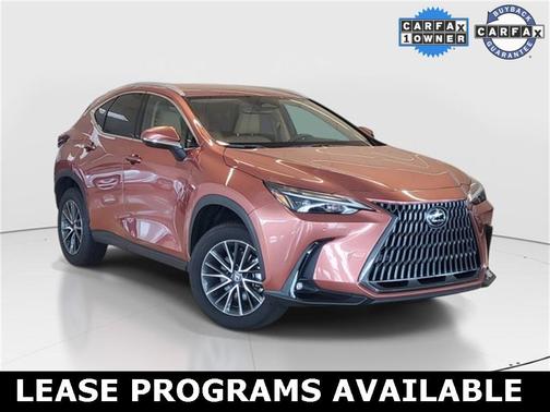 2025 Lexus NX 250 Base