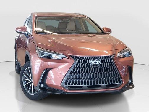 2025 Lexus NX 250 Base