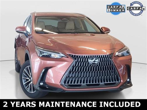 2025 Lexus NX 250 Base