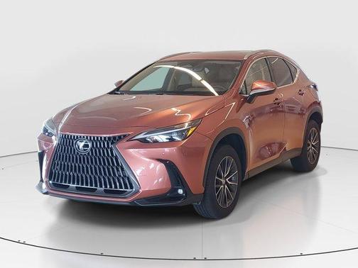2025 Lexus NX 250 Base