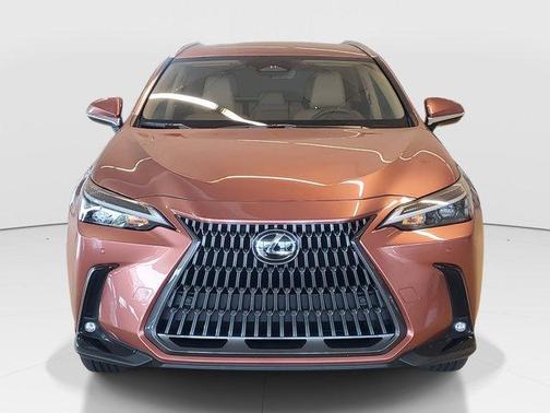 2025 Lexus NX 250 Base