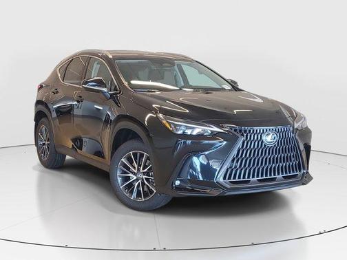 2025 Lexus NX 250 Premium