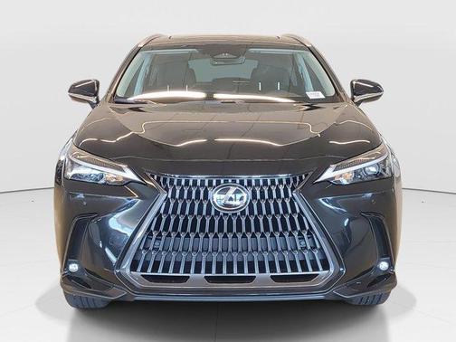 2025 Lexus NX 250 Premium