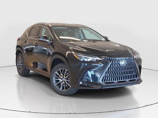 2025 Lexus NX 250 Premium