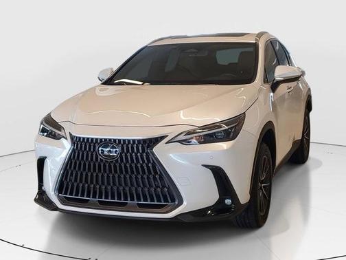 2025 Lexus NX 250 Premium