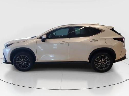 2025 Lexus NX 250 Premium
