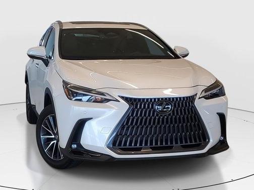 2025 Lexus NX 250 Premium