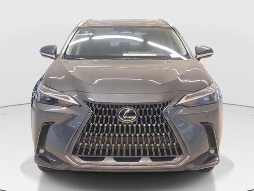 2025 Lexus NX 250 Premium