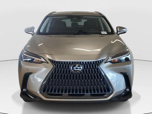 2024 Lexus NX 350h Premium