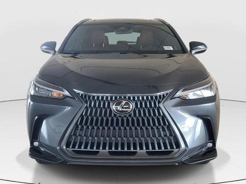 2025 Lexus NX 250 Premium