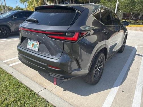 2025 Lexus NX 250 Base