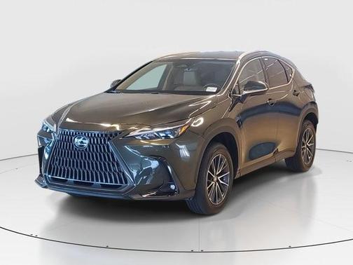 2025 Lexus NX 250 Premium