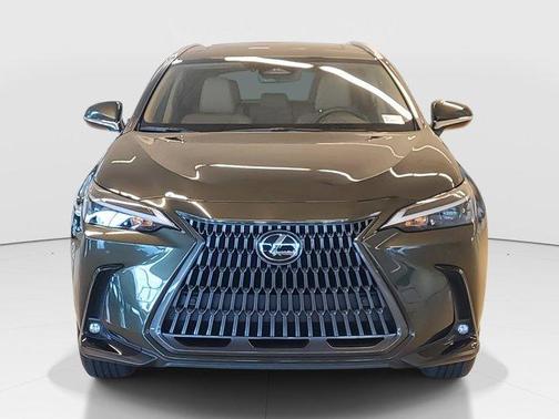2025 Lexus NX 250 Premium