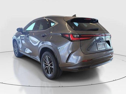 Cloudburst Gray 2023 Lexus NX 250 Base