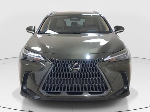 2024 Lexus NX 250 Base