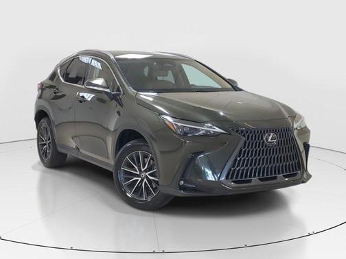2024 Lexus NX 250 Base