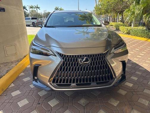 2024 Lexus NX 250 Base