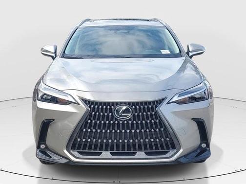 2024 Lexus NX 250 Base