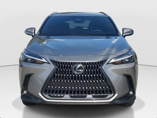 2023 Lexus NX 250 Premium