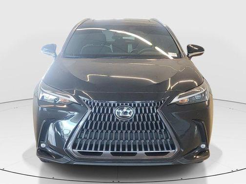 2022 Lexus NX 350 Premium