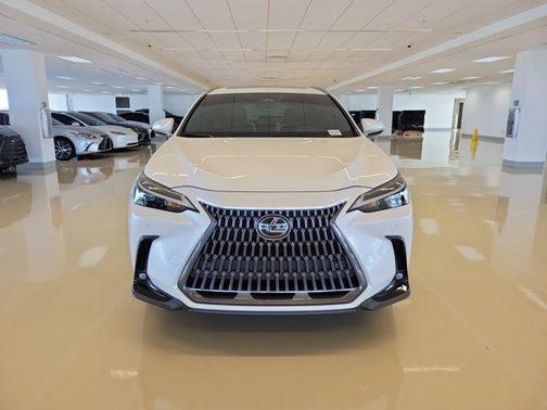 White Pearl 2024 Lexus NX 350 Premium