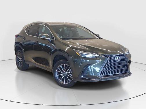 2023 Lexus NX 350h Premium